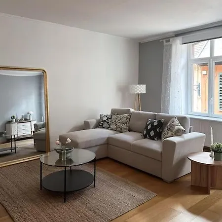 Hypercentre 80m2, A Deux Pas Du Chateau Des Rohan Apartment