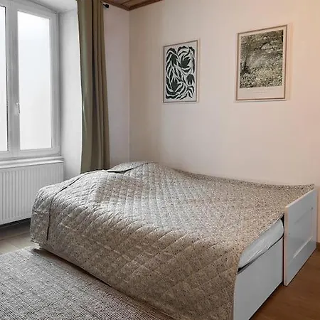 Hypercentre 80m2, A Deux Pas Du Chateau Des Rohan