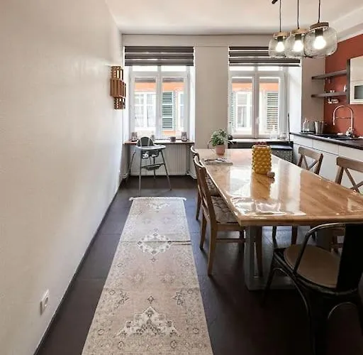 Hypercentre 80m2, A Deux Pas Du Chateau Des Rohan Apartment *