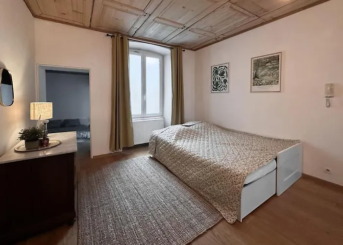 Hypercentre 80m2, A Deux Pas Du Chateau Des Rohan Apartment