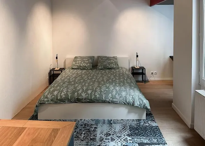 Hypercentre 80m2, A Deux Pas Du Chateau Des Rohan *